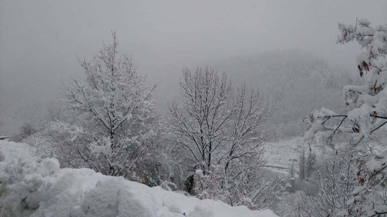 Studio Montagne Cerdagne A Saillagouse Kültér fotó